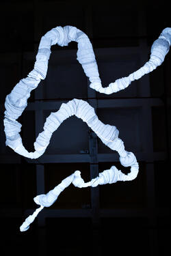7@daphneschrader.jpg